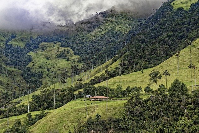 destinos baratos enero 2021 Colombia