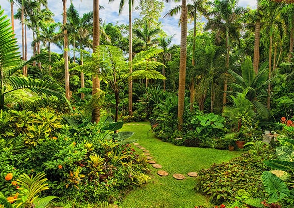 Jardines de Hunte - viajar a Barbados