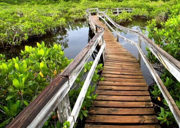 Parque Nacional Lucayan