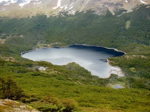 Laguna Roja, Camiña