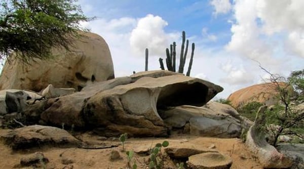 Parque animalista de Macouria